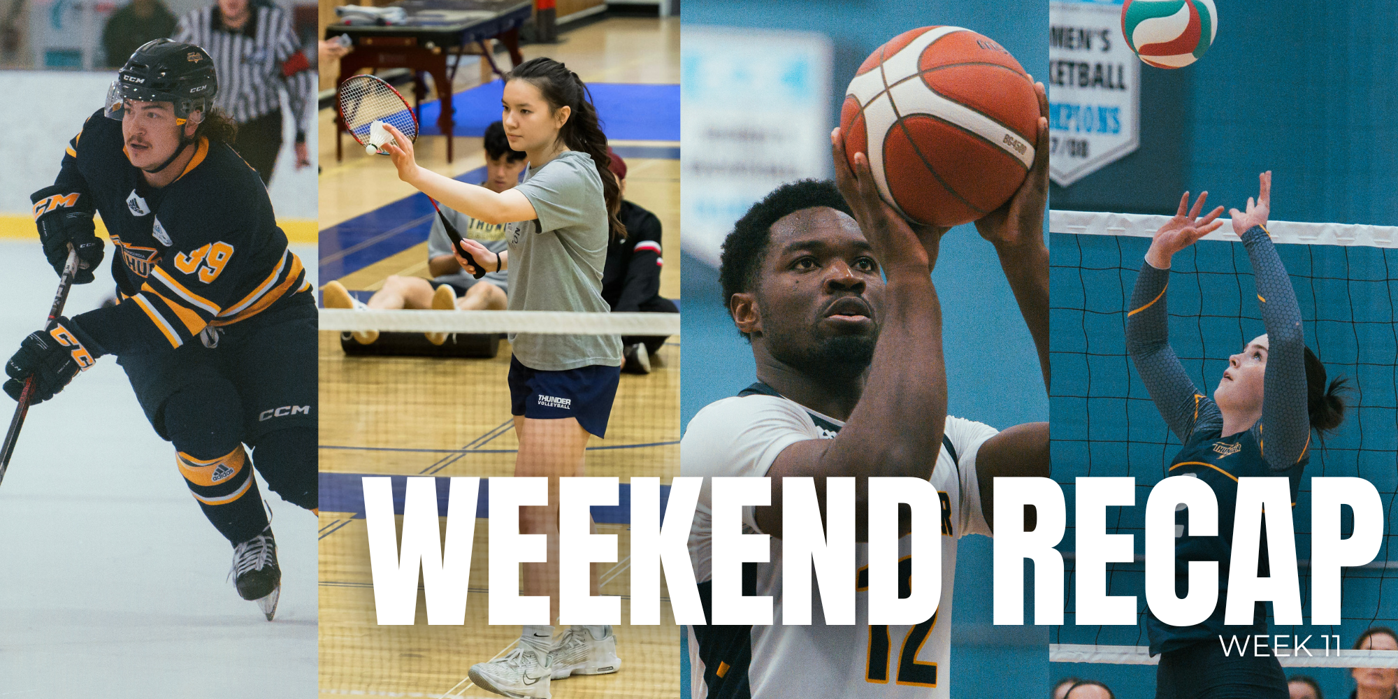Weekend Recap - Week 11